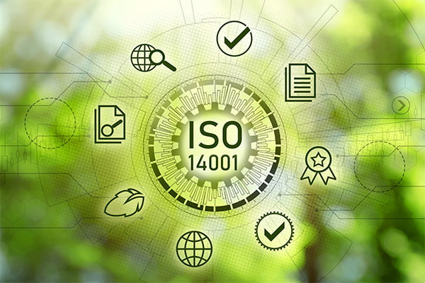 Процесс сертификации ISO 14001: шаги и требования для получения сертификата