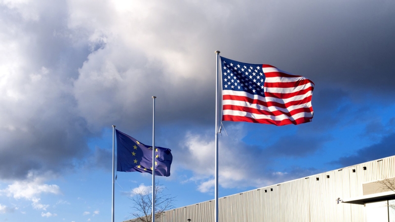 СМИ раскрыли, сколько продержится ЕС без США при прямом конфликте с Россией