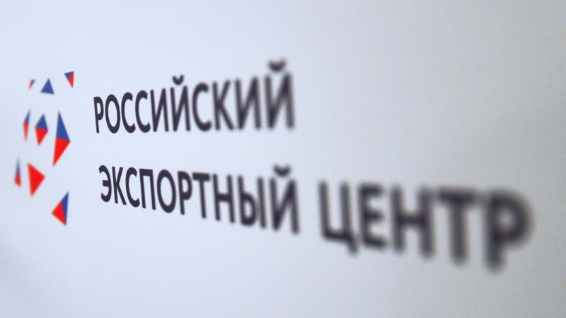 РЭЦ выделил перспективные для экспорта ниши на фоне кризиса в Европе