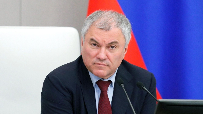 В Госдуме надеются, что Володин достучится до немецких коллег