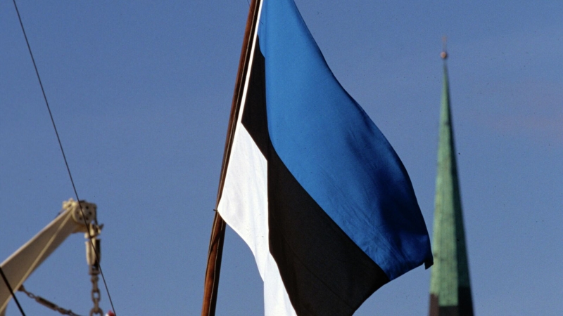 Эстония планирует создать "дроновую стену" на границе с Россией
