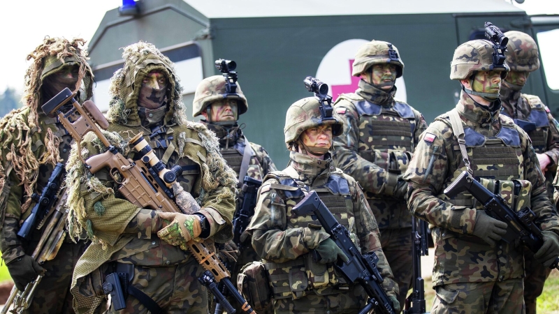 ВСУ будут обучать польских военных борьбе с БПЛА, пишет Guardian