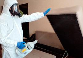 Дезинфекция: почему помощь профессионалов — залог здоровья