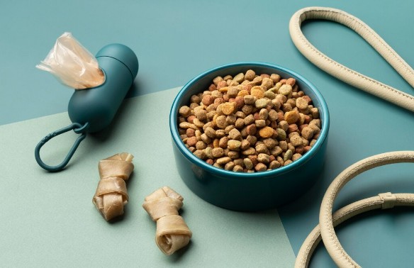 Корм для домашних животных: настоящее мясо, баланс витаминов